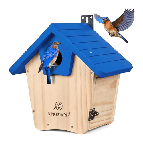 Bluebird house