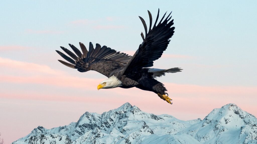 11 Highest Flying Birds In The World